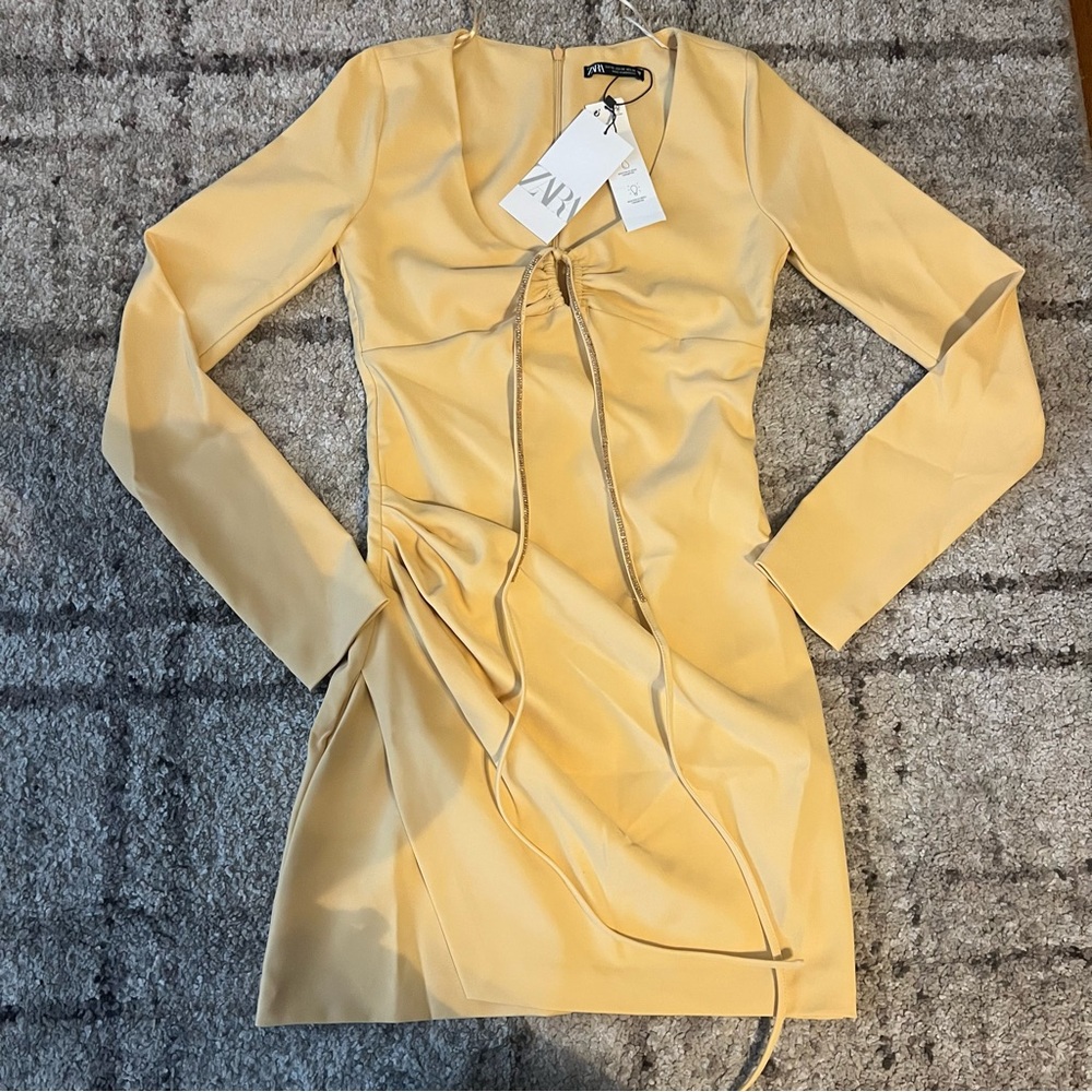 Zara Dress NWT
